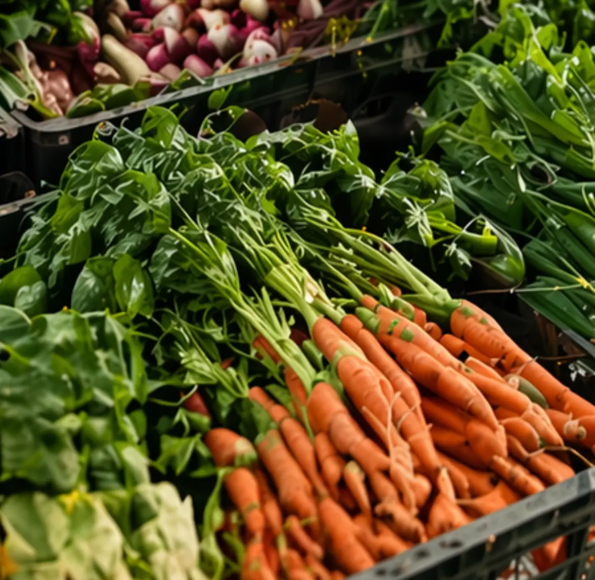 Seasonal Produce
